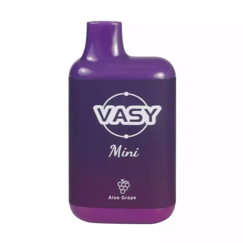 VASY Mini 600 Puffs Disposable Vape